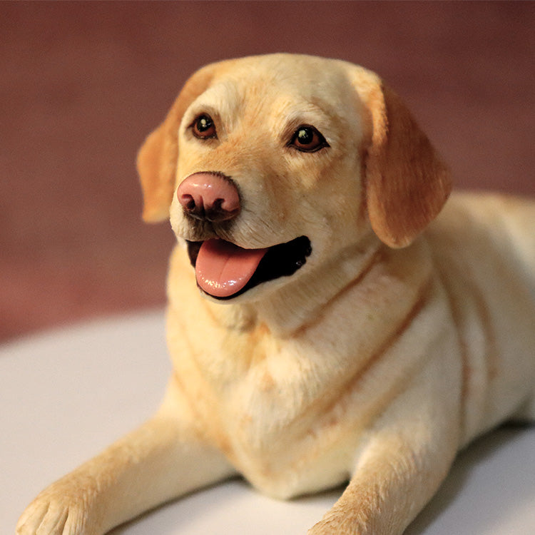 Paw Prints in Clay: Handmade Memorial Soft Clay for Your Beloved Pet